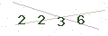 验证码